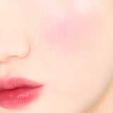 Lipsleek Tono 04 Savvy