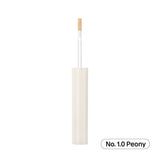 Bye Bye My Blemish Concealer