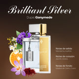 BRILLIANT SILVER 100 ml