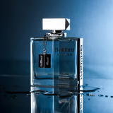 BRILLIANT SILVER 100 ml